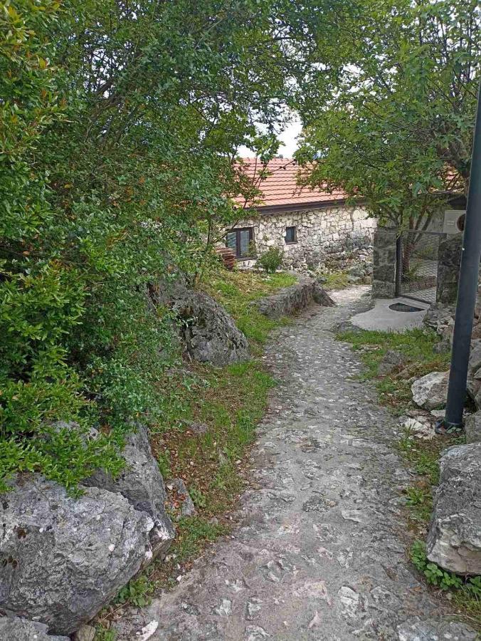 Villa Feel The Karuch à Cetinje Extérieur photo